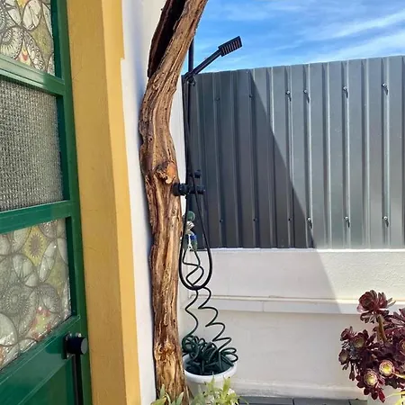 Arty Vintage Townhouse With Rooftop Shower & Sun Loungers *